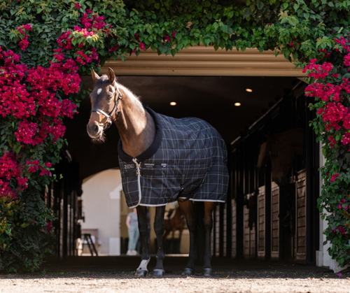 Rhino Stable Rug (250g Vari-Layer)