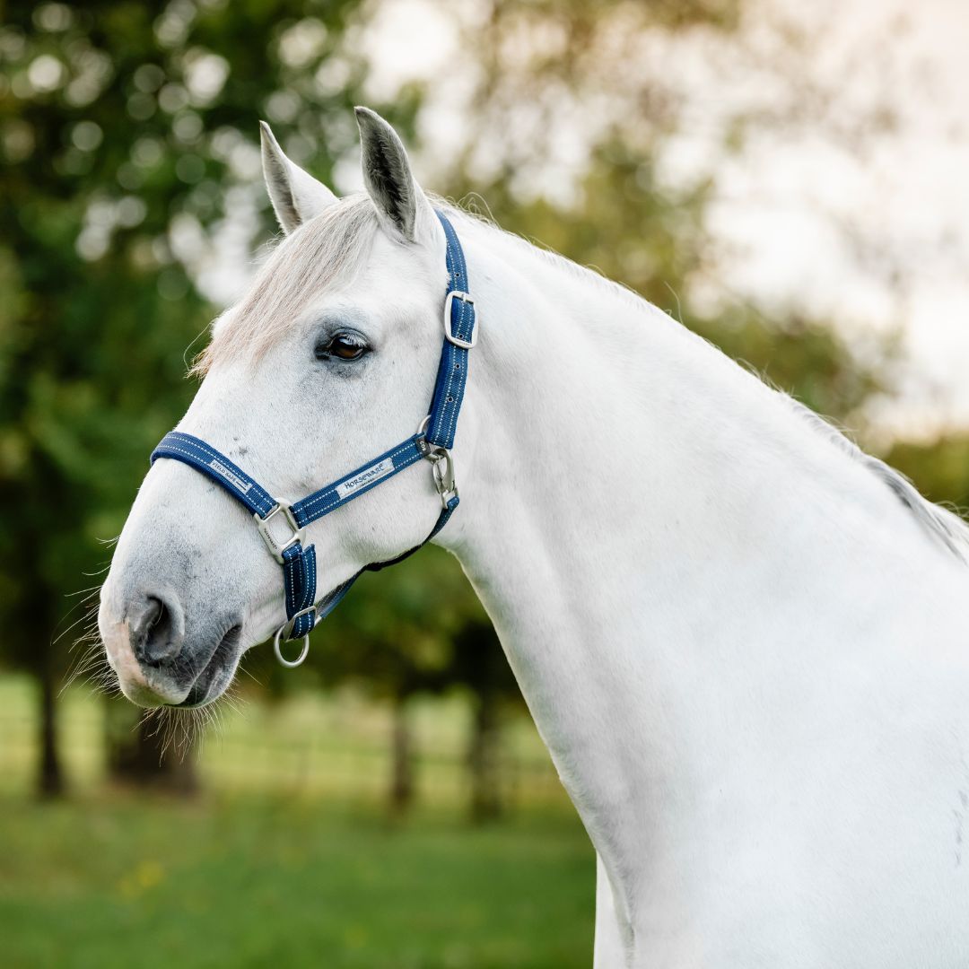 Horseware Fieldsafe Halter