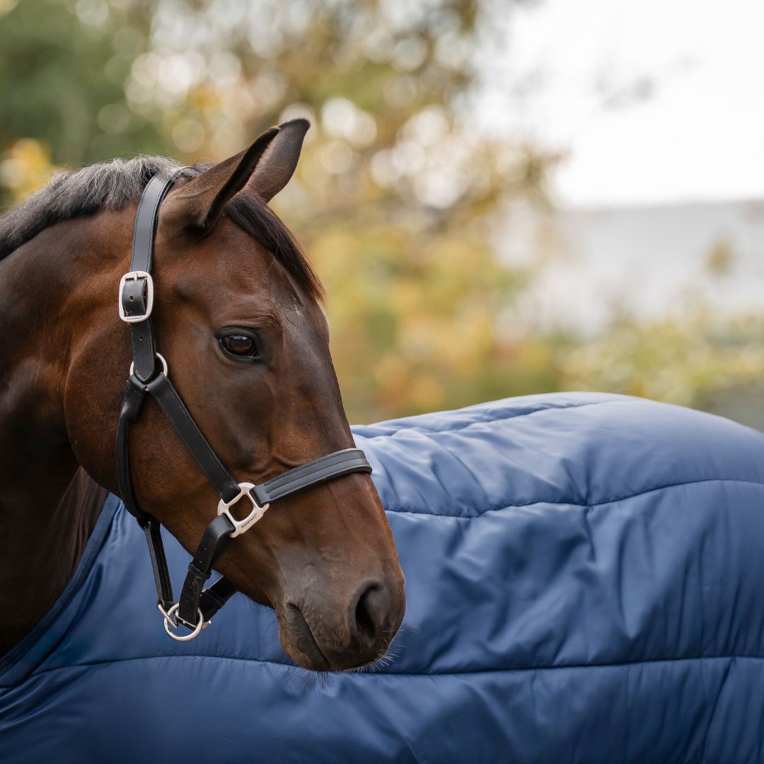 Horseware Liner *new* - 100g