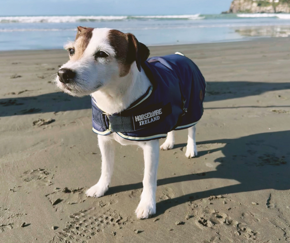 Horseware Newmarket Dog Coat