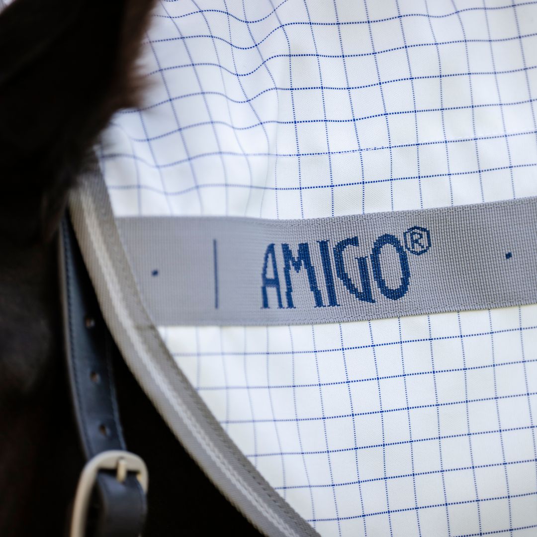 Amigo Summer Sheet Plus