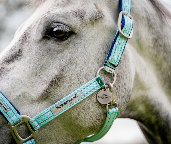 Horseware Fieldsafe Halter