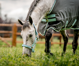 Horseware Fieldsafe Halter