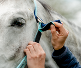 Horseware Fieldsafe Halter