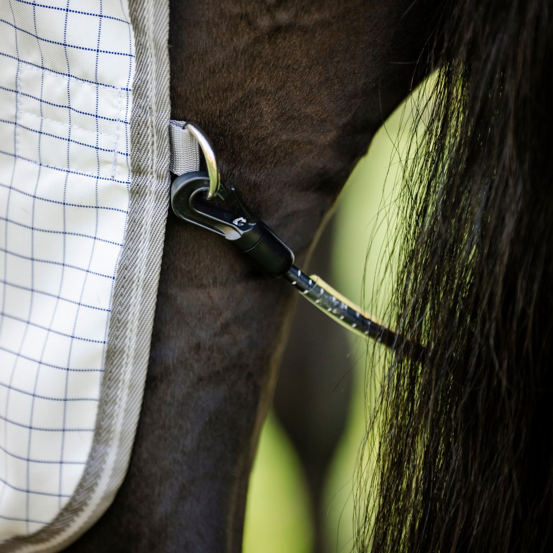 Amigo Summer Sheet Plus