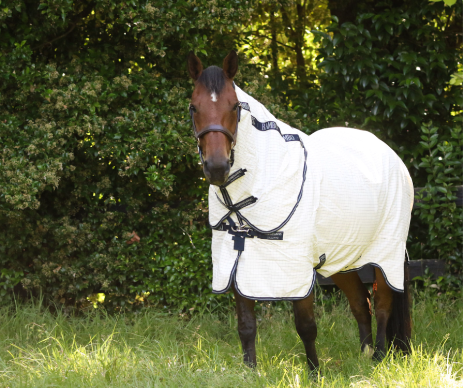 Rambo Allrounder V-Front - Size 4'3NZ (5'6Uk)